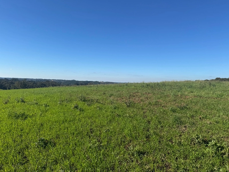 Chácara com vista dos sonhos a 10 min do centro de Campo Largo!: 14ª foto da galeria de imagens do imóvel