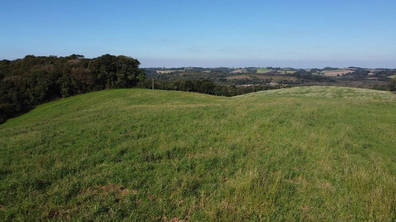 Chácara com vista dos sonhos a 10 min do centro de Campo Largo!: 6ª foto da galeria de imagens do imóvel
