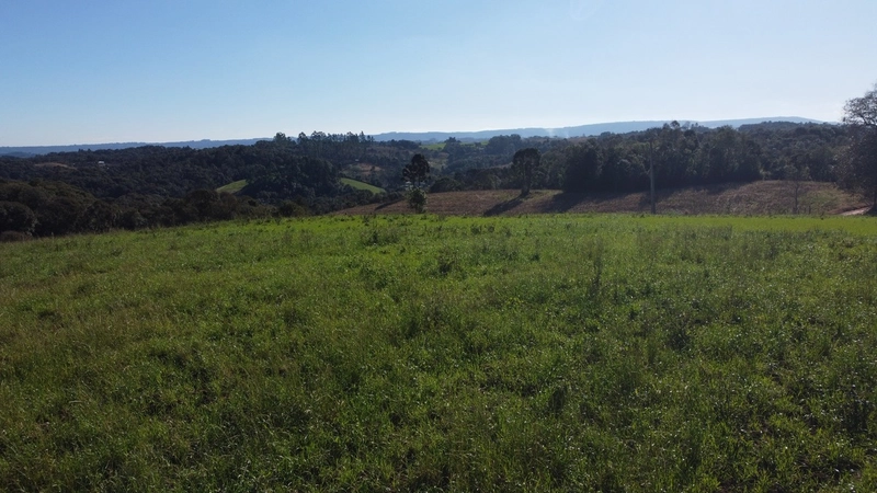 Chácara com vista dos sonhos a 10 min do centro de Campo Largo!: 25ª foto da galeria de imagens do imóvel