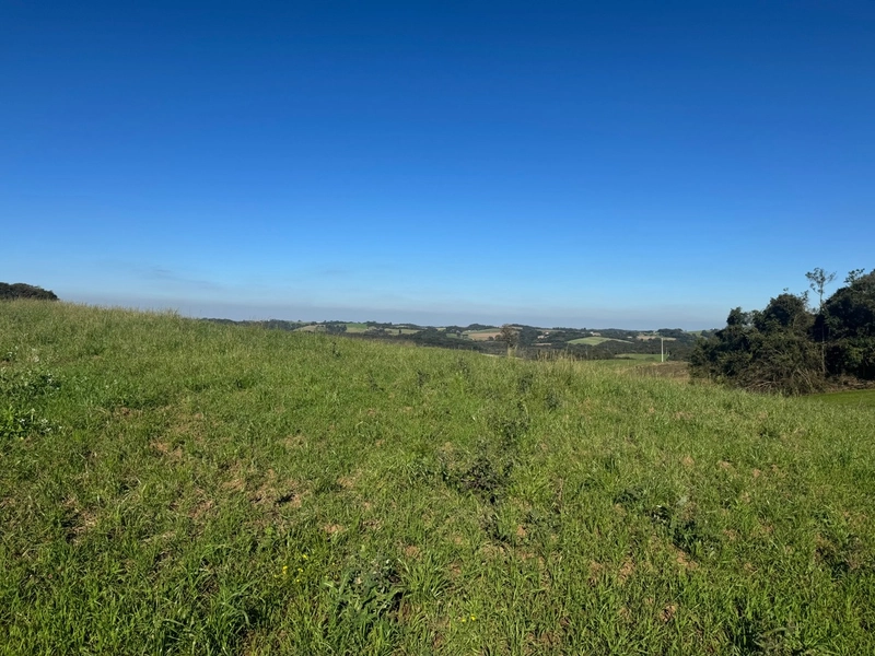 Chácara com vista dos sonhos a 10 min do centro de Campo Largo!: 13ª foto da galeria de imagens do imóvel