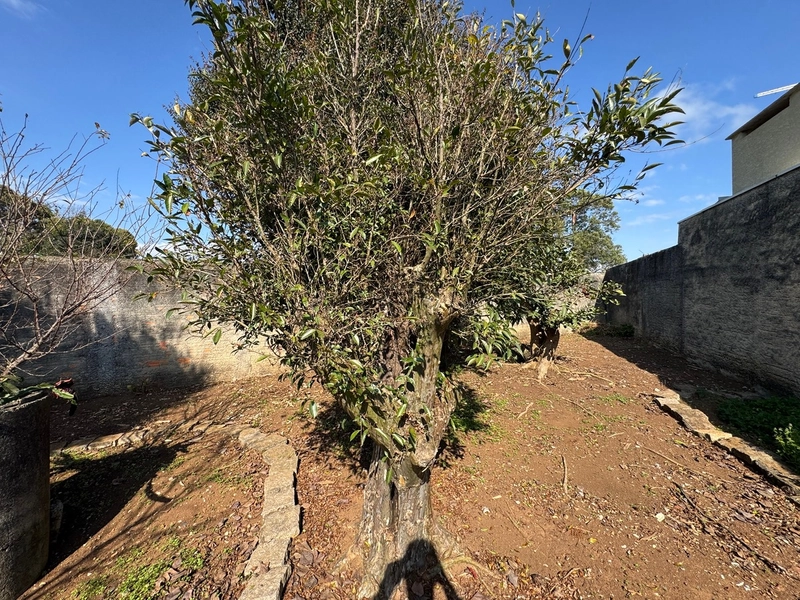 Imóvel com casa e comércio no Ouro Verde, ótima localização!: 18ª foto da galeria de imagens do imóvel