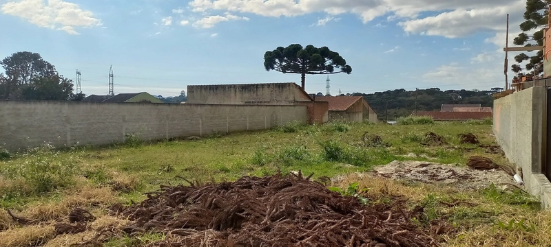 Terreno Plano, Espaçoso e com Localização Imbatível!: 3ª foto da galeria de imagens do imóvel