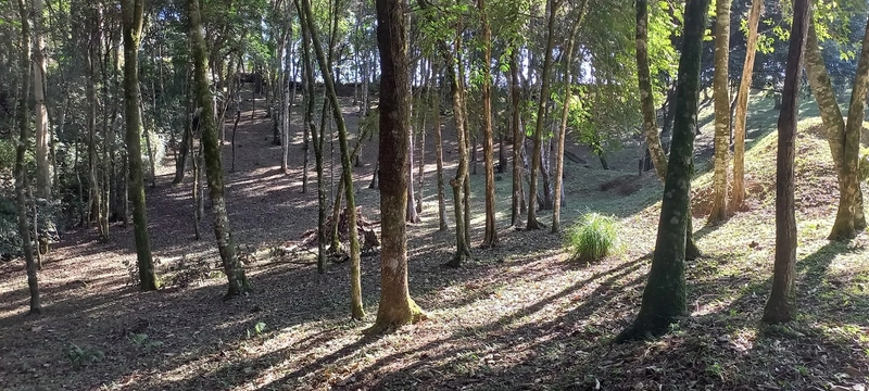 Seu refúgio de paz a 20 minutos de Campo Largo. A natureza te espera!: 24ª foto da galeria de imagens do imóvel