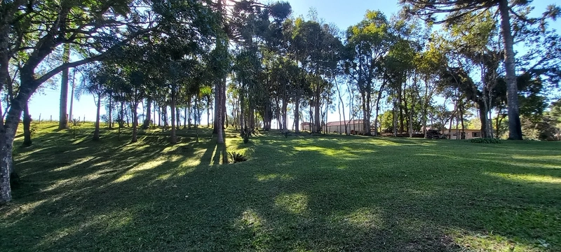 Seu refúgio de paz a 20 minutos de Campo Largo. A natureza te espera!: 19ª foto da galeria de imagens do imóvel