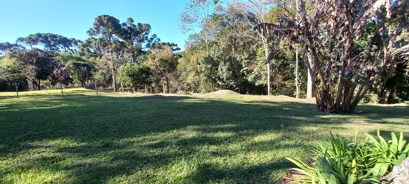 Seu refúgio de paz a 20 minutos de Campo Largo. A natureza te espera!: 6ª foto da galeria de imagens do imóvel