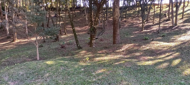 Seu refúgio de paz a 20 minutos de Campo Largo. A natureza te espera!: 23ª foto da galeria de imagens do imóvel