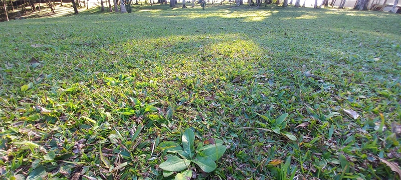 Seu refúgio de paz a 20 minutos de Campo Largo. A natureza te espera!: 18ª foto da galeria de imagens do imóvel