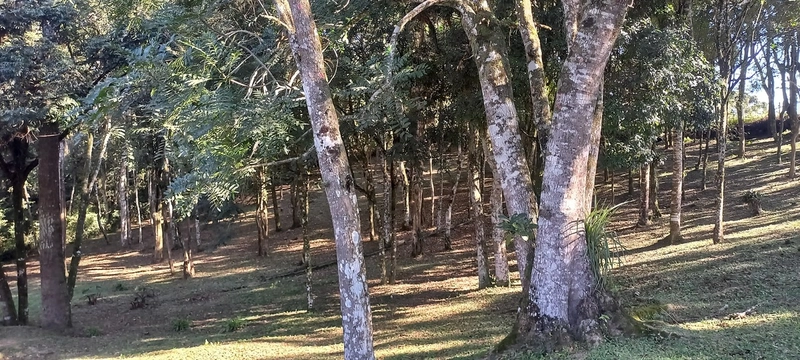 Seu refúgio de paz a 20 minutos de Campo Largo. A natureza te espera!: 7ª foto da galeria de imagens do imóvel