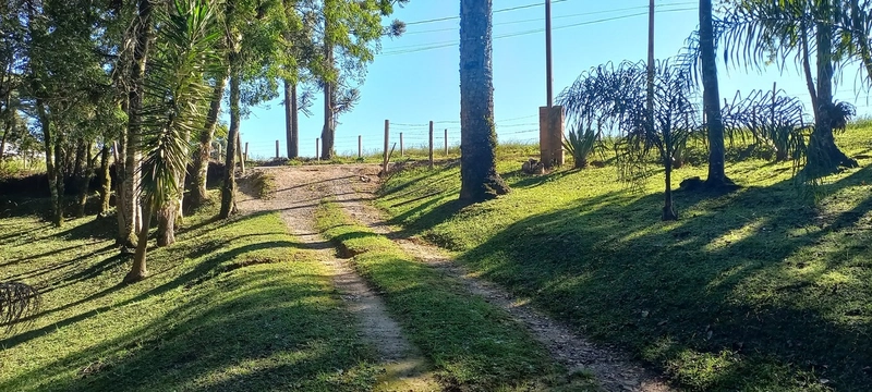 Seu refúgio de paz a 20 minutos de Campo Largo. A natureza te espera!: 4ª foto da galeria de imagens do imóvel