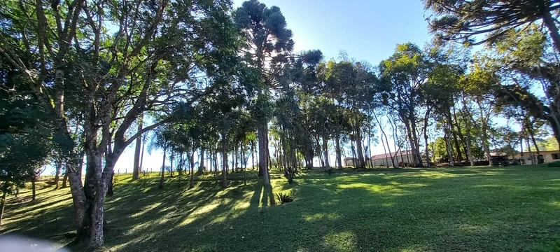 Seu refúgio de paz a 20 minutos de Campo Largo. A natureza te espera!: 20ª foto da galeria de imagens do imóvel