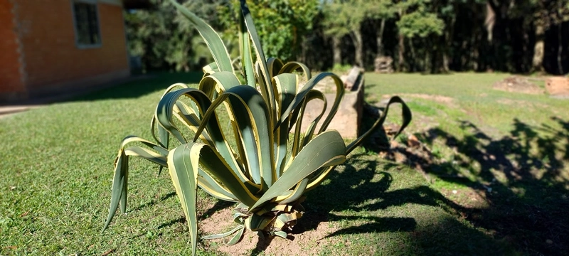 Seu refúgio de paz a 20 minutos de Campo Largo. A natureza te espera!: 16ª foto da galeria de imagens do imóvel
