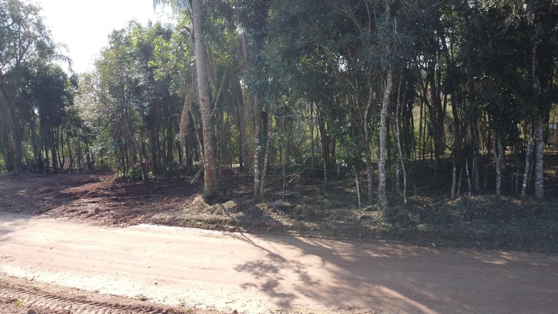 Terreno 3.364m² no Felpudo, com linda vista para São Luiz do Purunã!: 4ª foto da galeria de imagens do imóvel