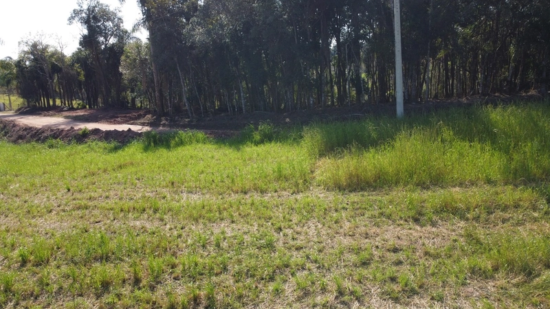 Terreno 3.364m² no Felpudo, com linda vista para São Luiz do Purunã!: 6ª foto da galeria de imagens do imóvel
