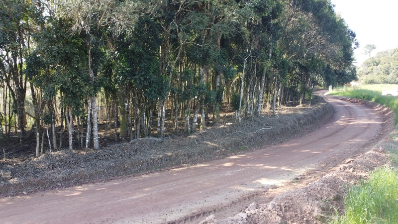 Terreno 3.364m² no Felpudo, com linda vista para São Luiz do Purunã!: 3ª foto da galeria de imagens do imóvel
