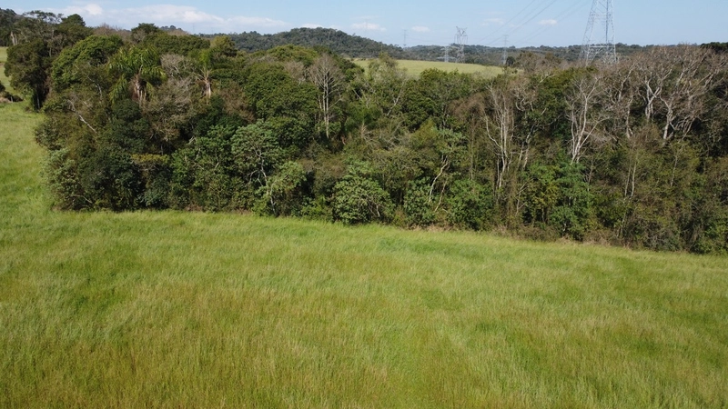 Terrenos a partir de 20.000m² no Felpudo, com vista deslumbrante!: 13ª foto da galeria de imagens do imóvel