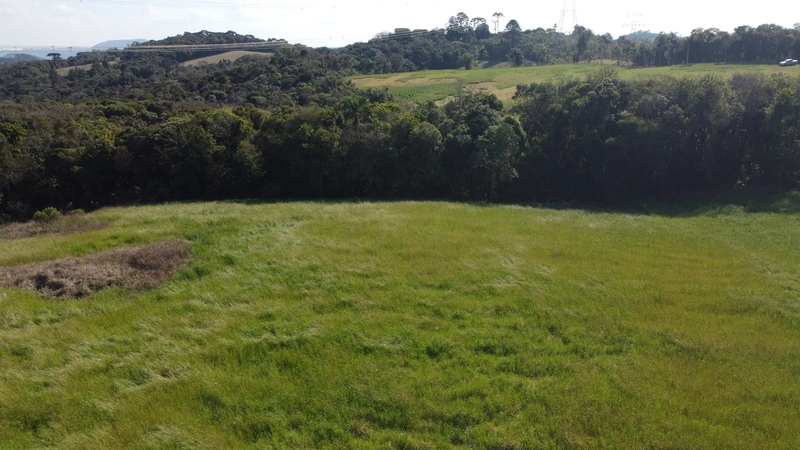 Terrenos a partir de 20.000m² no Felpudo, com vista deslumbrante!: 11ª foto da galeria de imagens do imóvel