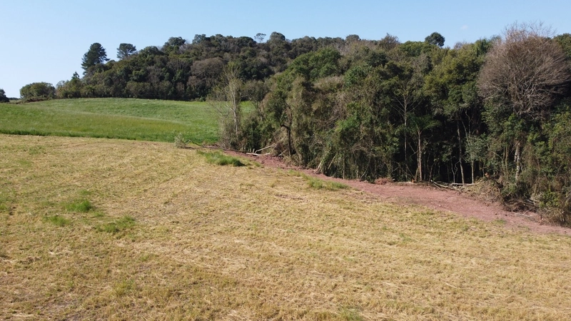 Chácara com 263.782m² no Felpudo, com vista deslumbrante!: 15ª foto da galeria de imagens do imóvel
