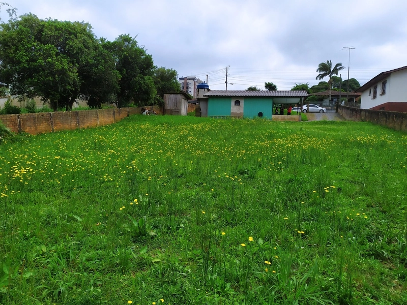 Terreno Central com 1.000m² – Oportunidade de Investimento Imperdível!: 9ª foto da galeria de imagens do imóvel
