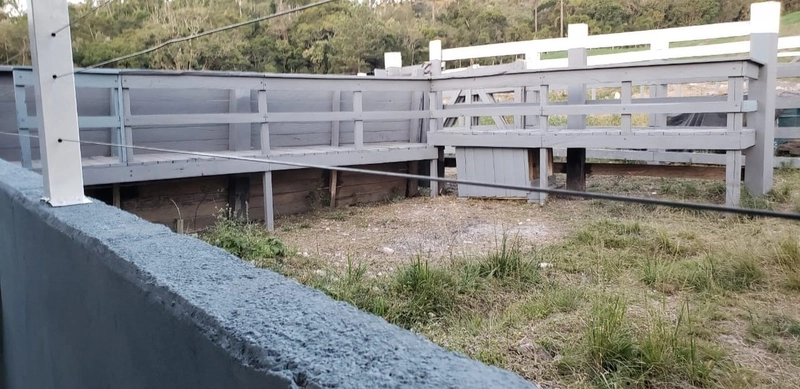 Fazenda Encantadora de 20 Alqueires: Natureza, Conforto e Produção!: 7ª foto da galeria de imagens do imóvel