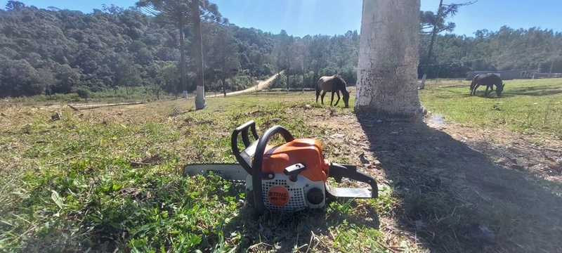 Fazenda Encantadora de 20 Alqueires: Natureza, Conforto e Produção!: 4ª foto da galeria de imagens do imóvel