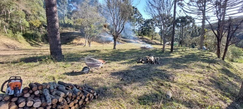 Fazenda Encantadora de 20 Alqueires: Natureza, Conforto e Produção!: 3ª foto da galeria de imagens do imóvel