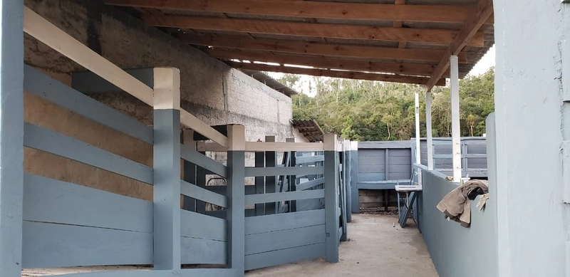 Fazenda Encantadora de 20 Alqueires: Natureza, Conforto e Produção!: 11ª foto da galeria de imagens do imóvel