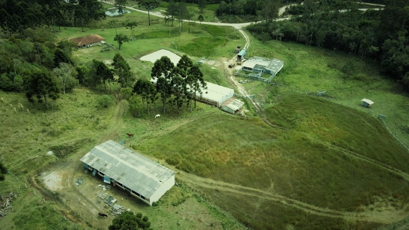 Fazenda Encantadora de 20 Alqueires: Natureza, Conforto e Produção!: 9ª foto da galeria de imagens do imóvel