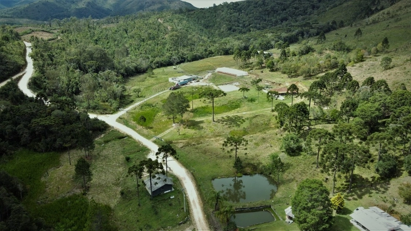 Fazenda Encantadora de 20 Alqueires: Natureza, Conforto e Produção!: 1ª foto da galeria de imagens do imóvel