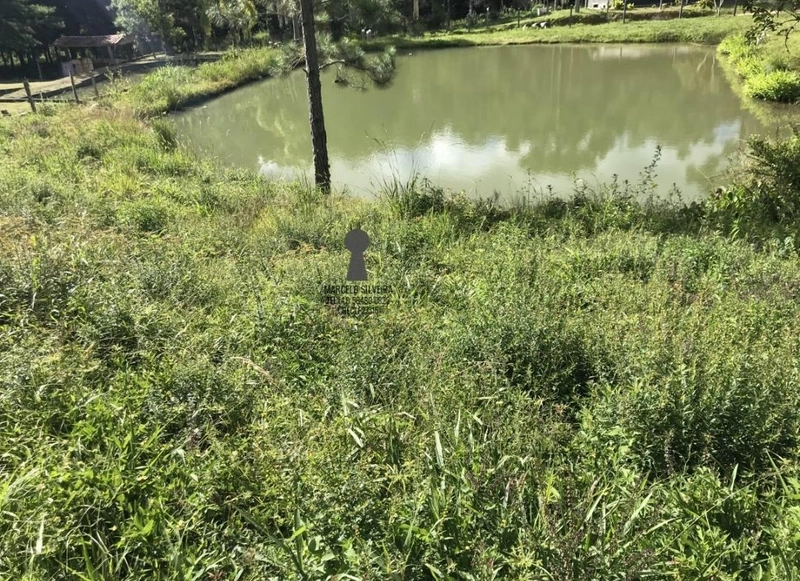 Fazenda Encantadora de 20 Alqueires: Natureza, Conforto e Produção!: 21ª foto da galeria de imagens do imóvel