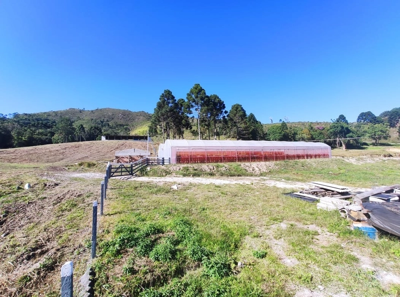 Fazenda Encantadora de 20 Alqueires: Natureza, Conforto e Produção!: 12ª foto da galeria de imagens do imóvel
