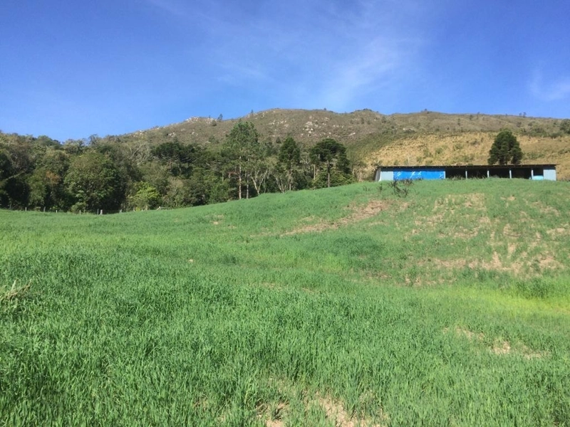 Fazenda Encantadora de 20 Alqueires: Natureza, Conforto e Produção!: 19ª foto da galeria de imagens do imóvel