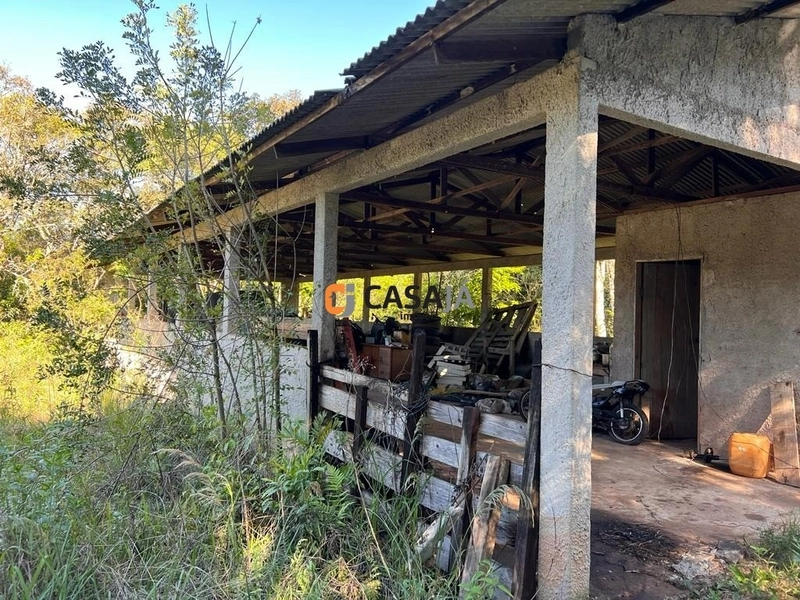 Espaço dos Sonhos: Terreno de 3 Alqueires com Nascente e Casas!: 5ª foto da galeria de imagens do imóvel