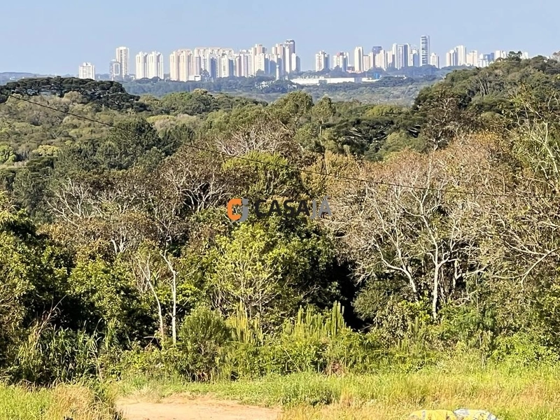 Espaço dos Sonhos: Terreno de 3 Alqueires com Nascente e Casas!: 3ª foto da galeria de imagens do imóvel