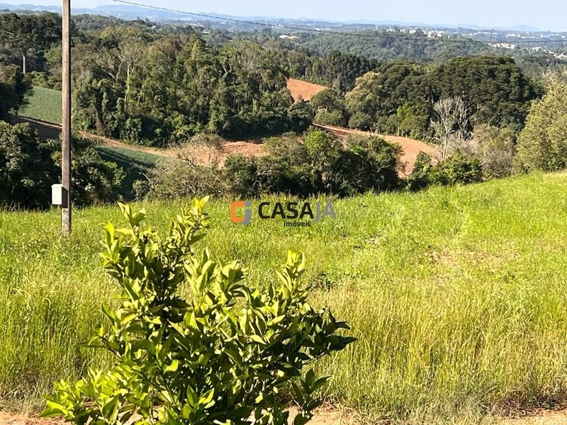 Espaço dos Sonhos: Terreno de 3 Alqueires com Nascente e Casas!: 1ª foto da galeria de imagens do imóvel