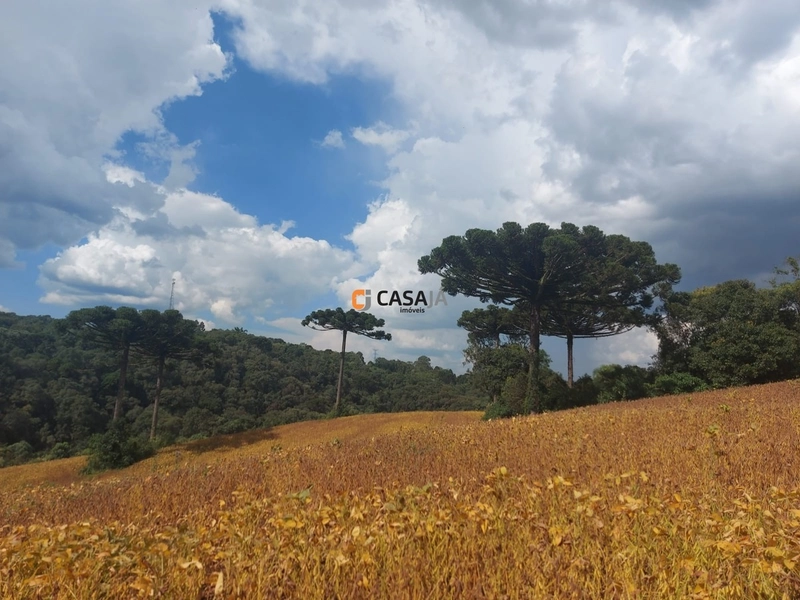 Terreno de 8 Alqueires: Natureza e Oportunidade de Investimento!: 8ª foto da galeria de imagens do imóvel