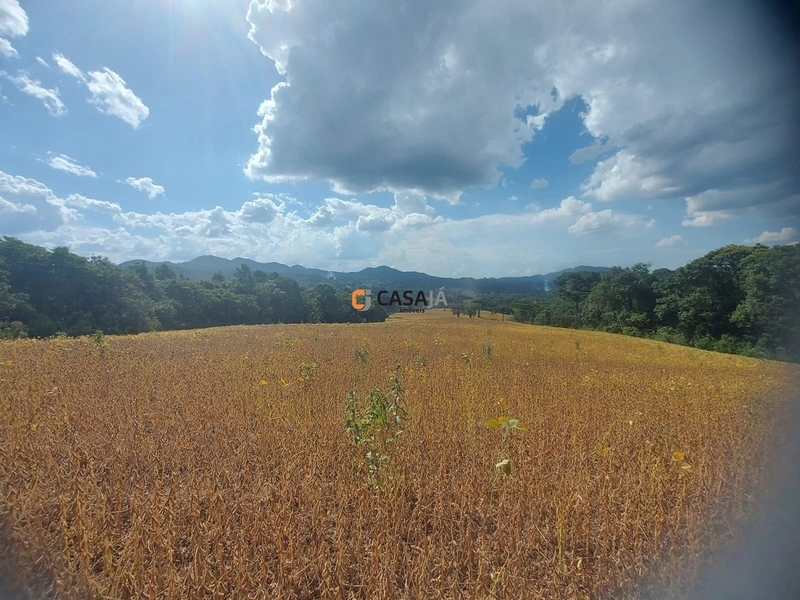 Terreno de 8 Alqueires: Natureza e Oportunidade de Investimento!: 10ª foto da galeria de imagens do imóvel