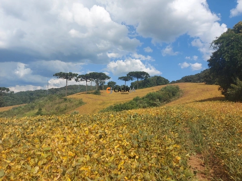 Terreno de 8 Alqueires: Natureza e Oportunidade de Investimento!: 15ª foto da galeria de imagens do imóvel