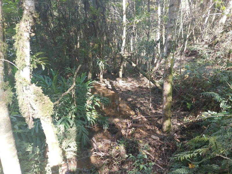 Terreno de 8 Alqueires: Natureza e Oportunidade de Investimento!: 16ª foto da galeria de imagens do imóvel