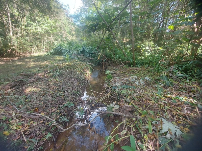 Terreno de 8 Alqueires: Natureza e Oportunidade de Investimento!: 18ª foto da galeria de imagens do imóvel
