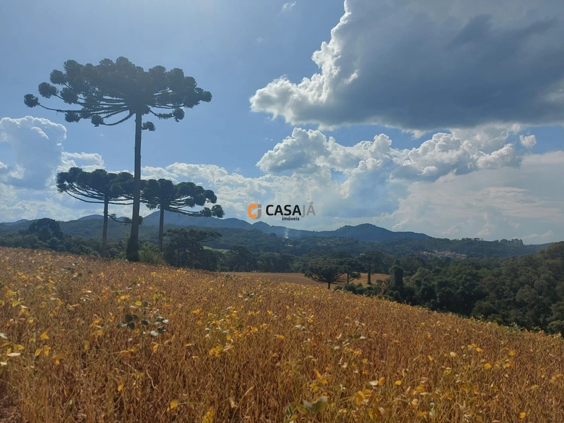 Terreno de 8 Alqueires: Natureza e Oportunidade de Investimento!: 13ª foto da galeria de imagens do imóvel