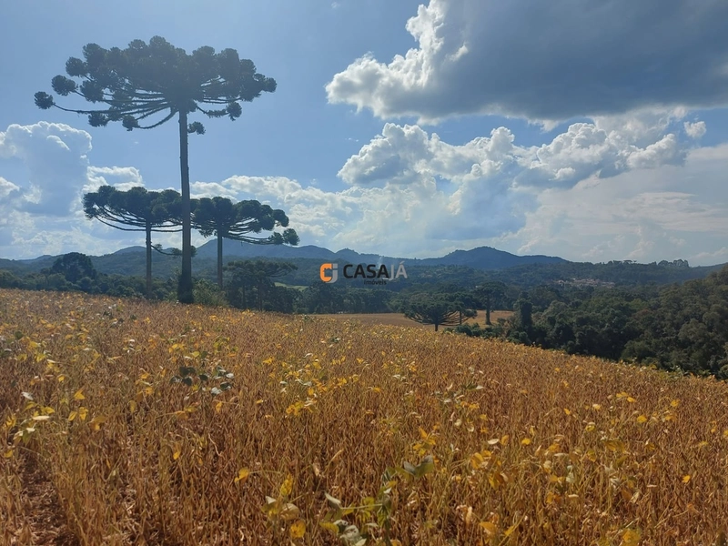 Terreno de 8 Alqueires: Natureza e Oportunidade de Investimento!: 12ª foto da galeria de imagens do imóvel