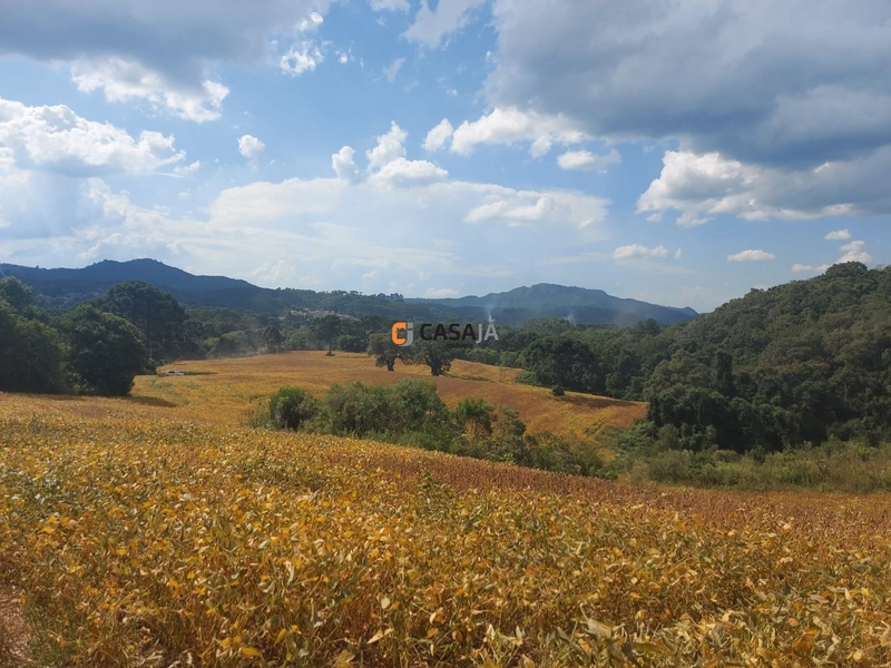 Terreno de 8 Alqueires: Natureza e Oportunidade de Investimento!: 6ª foto da galeria de imagens do imóvel