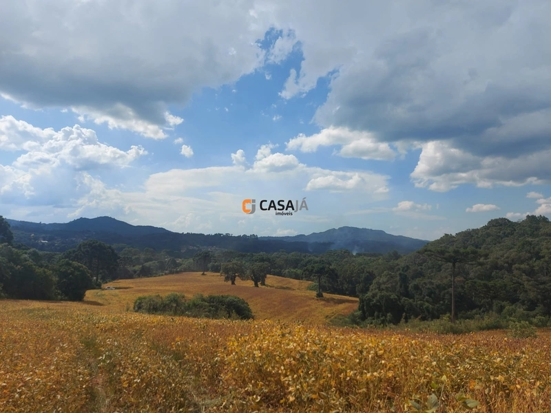 Terreno de 8 Alqueires: Natureza e Oportunidade de Investimento!: 1ª foto da galeria de imagens do imóvel