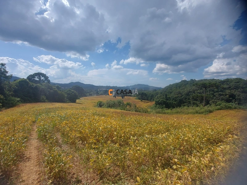 Terreno de 8 Alqueires: Natureza e Oportunidade de Investimento!: 4ª foto da galeria de imagens do imóvel