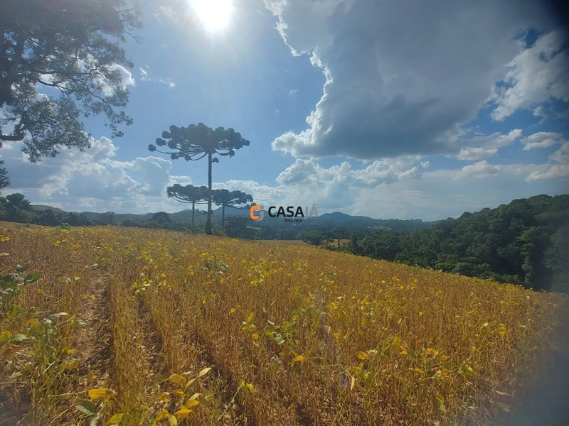 Terreno de 8 Alqueires: Natureza e Oportunidade de Investimento!: 14ª foto da galeria de imagens do imóvel