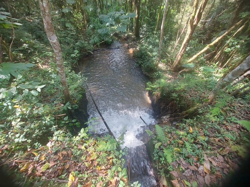 Terreno de 8 Alqueires: Natureza e Oportunidade de Investimento!: 17ª foto da galeria de imagens do imóvel