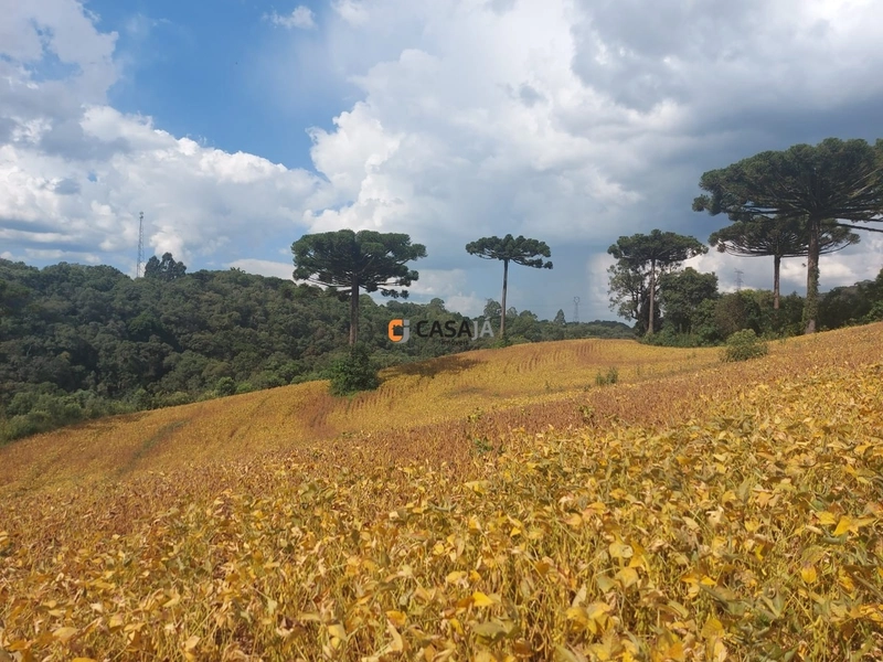 Terreno de 8 Alqueires: Natureza e Oportunidade de Investimento!: 7ª foto da galeria de imagens do imóvel