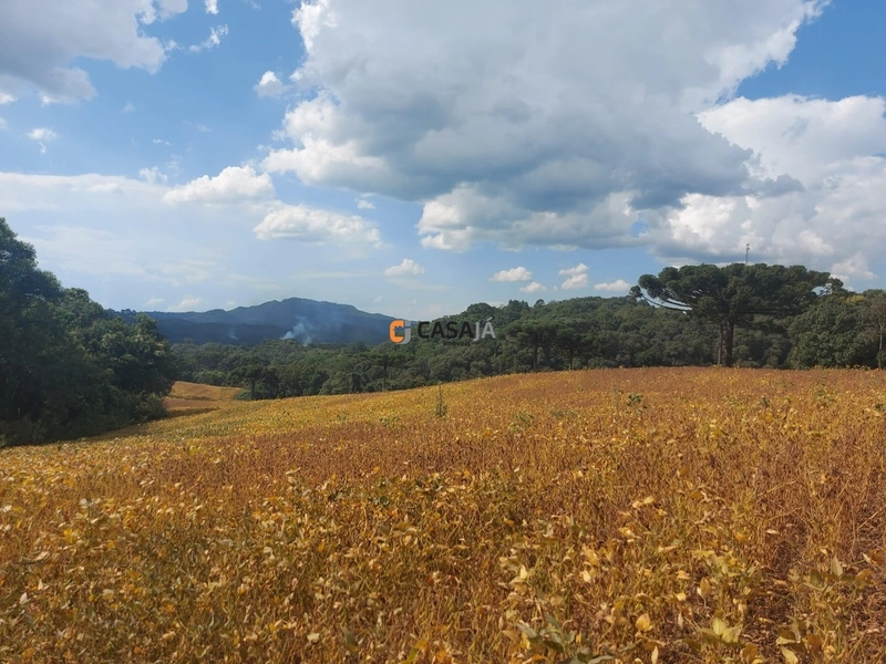 Terreno de 8 Alqueires: Natureza e Oportunidade de Investimento!: 9ª foto da galeria de imagens do imóvel