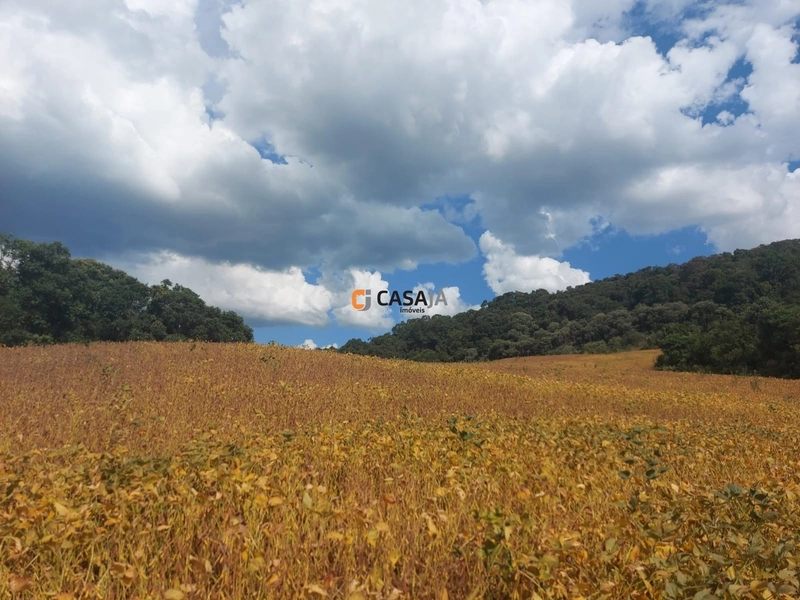 Terreno de 8 Alqueires: Natureza e Oportunidade de Investimento!: 2ª foto da galeria de imagens do imóvel
