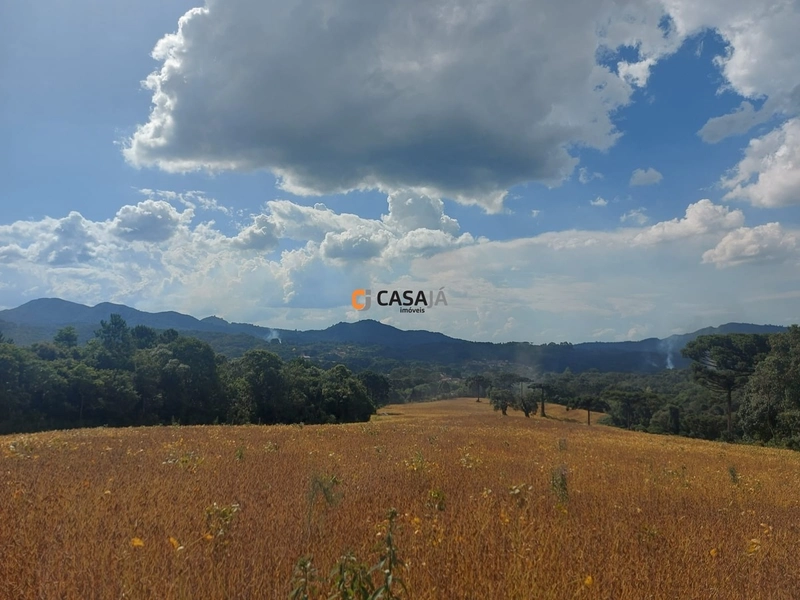 Terreno de 8 Alqueires: Natureza e Oportunidade de Investimento!: 11ª foto da galeria de imagens do imóvel
